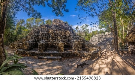 Picture of a historic pyramid in the Mexican Inca city of Coba on the Yucatan Peninsula during the day in sunshine