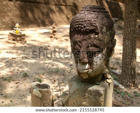 Buddha head placed on a stone in a Thai temple