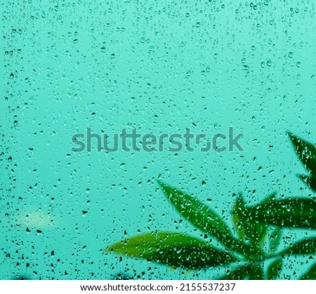 Raindrops on window glass, and blur of green leaves, in rainy season.