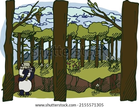 Illustration of a panda in the forest near a fault on the background of a colorful landscape. Exploring nature, forest, crevice, tall trees, animals. For your design