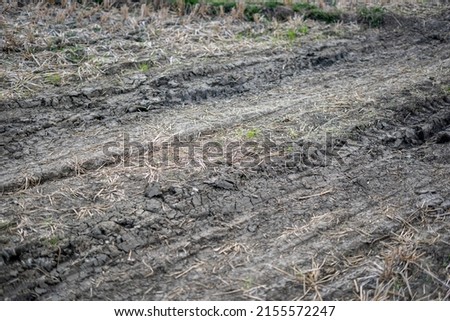 Barren soil of paddy fields that were already harvested.