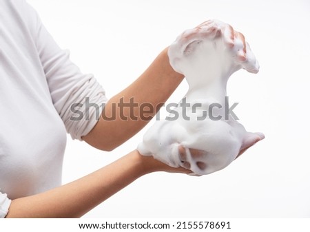 Female holding soap bubbles on white background. Hands with white bubbles. Texture of white soap foam on female hand.