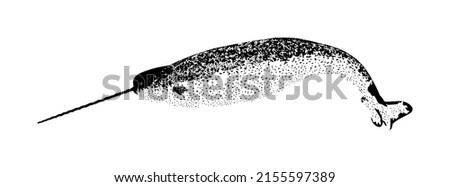 Narwhal vector silhouette illustration isolated on white background. Unicorn whale. Big animal from deep sea and ocean waters.
