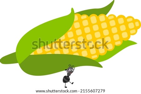 Cute ant carrying a fresh corn on the cob
