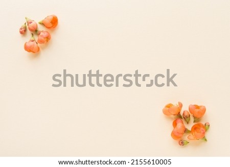 
Beautiful flower arrangement. Bright orange flowers, free space for text on a light pastel background. Wedding, birthday. Valentine's day, mother's day. Top view, copy space