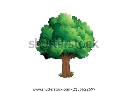 trees illustrations. Can be used to illustration any nature or healthy lifestyle topic design.