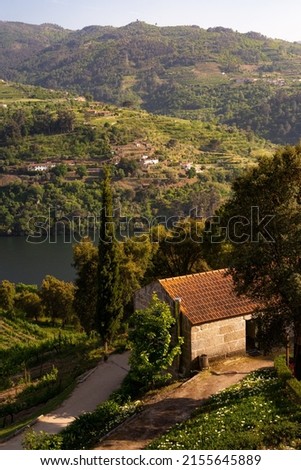 Douro valley and river on the Baião region, place from the famous Porto Wine in Portugal