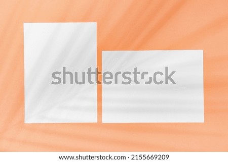 Two paper sheets and shadow of palm leaf on color background