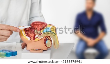 Urologist consultation for male patient. Urology and andrology, treatment of men's diseases and prostatitis Royalty-Free Stock Photo #2155676941