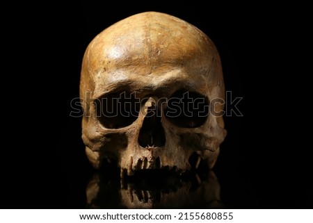 Ancient human skull on black background Royalty-Free Stock Photo #2155680855