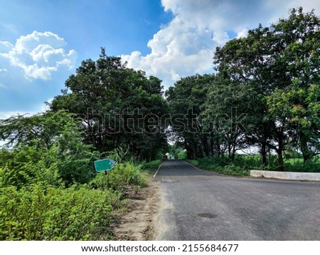 Vibrant Springtime Scenic View of asphalt road connected to the countryside area, big tree covered road like tree tunnel.Farmland in the both side of the road at Gulbarga, Karnataka, India.