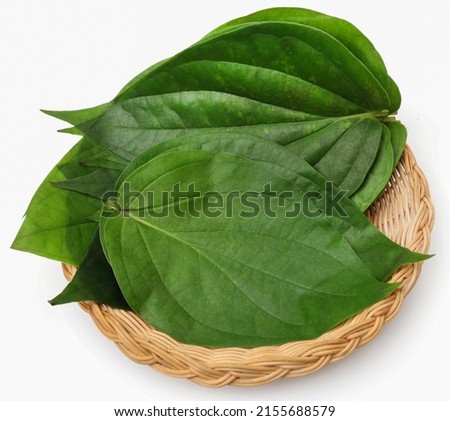 Edible betel leaves fresh and organic over white background Royalty-Free Stock Photo #2155688579