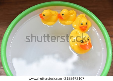 The plastic duck toys  on white background