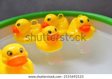 The plastic duck toys  on white background