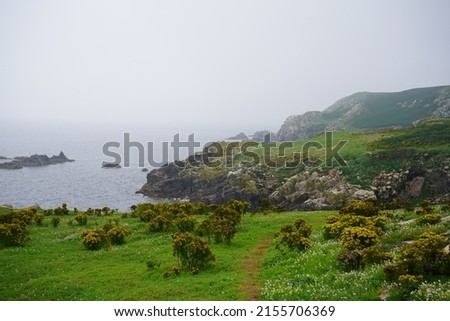 Pictures of the saltee islands, off the coast of Wexford, Ireland.