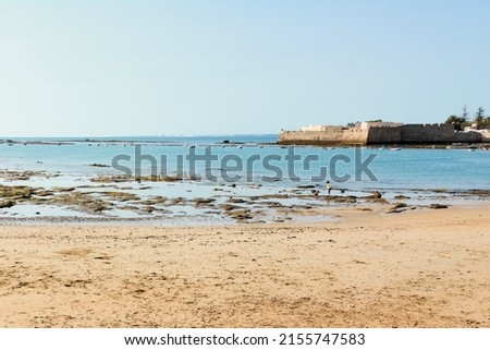 Paseo Fernando Quiñones beach almost without people with the castle of Sant Sebastian in the background to the right in Cádiz Spain
