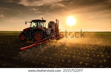 Tractor spraying pesticides on corn field  with sprayer at spring Royalty-Free Stock Photo #2155752297