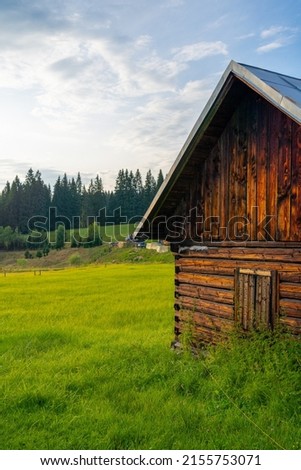 Traditional old wooden barn in beautiful sunset light, green background, rural concept, countryside, Slovakia, Europe, idyllic landscape photography, vertical picture