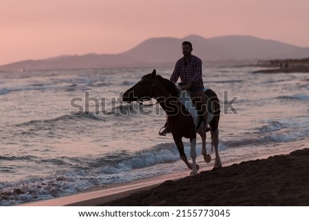 A modern man in summer clothes enjoys riding a horse on a beautiful sandy beach at sunset. Selective focus 
