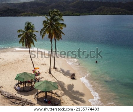 coconut trees, beach, beach island, mochima national park, anzoategui, venezuela