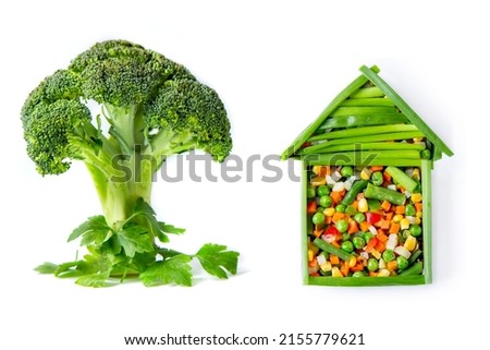 Vegetable composition. A house of fresh vegetables, broccoli in the form of a tree and greens on a white background close-up. agriculture, agriculture