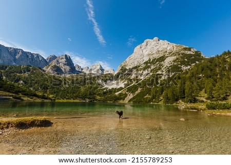 lake in summer of the Alps mountain austria.
