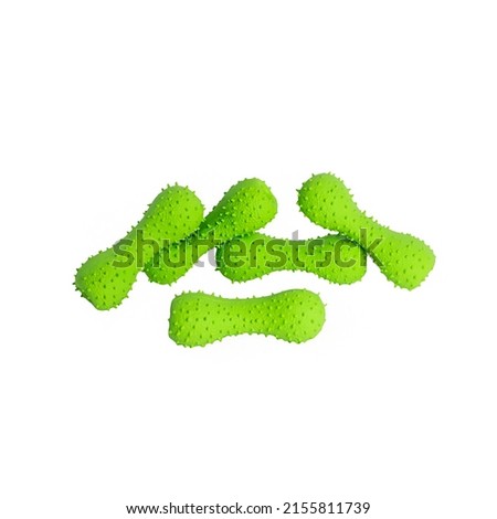 green bone toys for dog