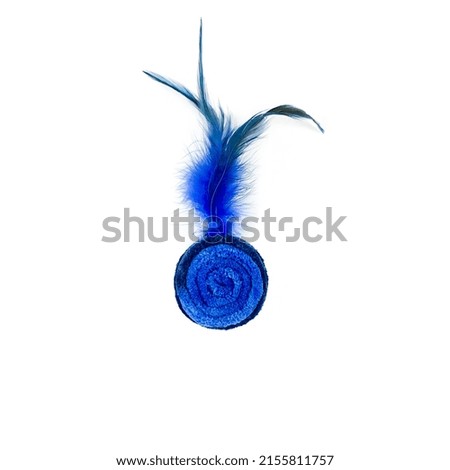 
feathers blue toys for cat 