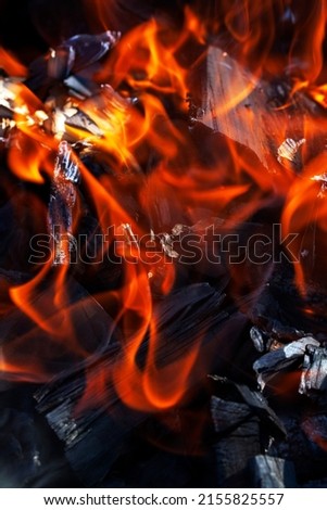 a fire made of logs with a bright flame at a camping while cooking, a flame of fire from the yard, a photo with a small depth of field