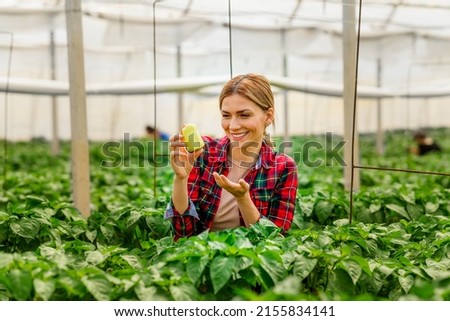 Portrait of a beautiful smiling agronomist woman holding a pepper plant. (vegetables) Royalty-Free Stock Photo #2155834141