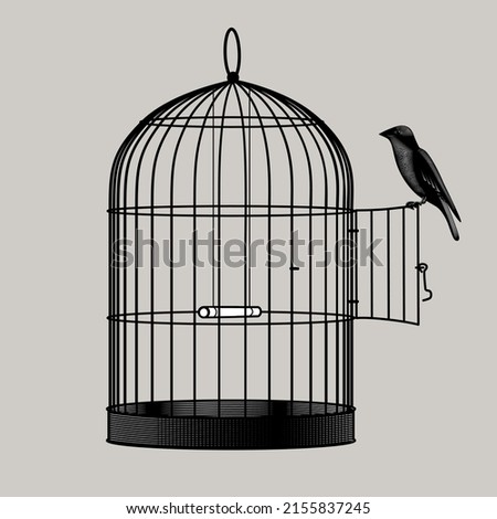 Bird perched on the open door of a birdcage. Vintage engraving black and white stylized drawing. Vector illustration Royalty-Free Stock Photo #2155837245