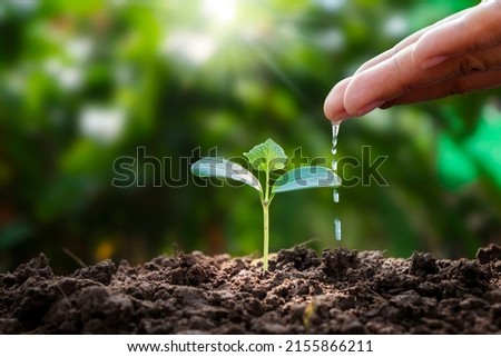 Trees are growing on fertile soil and farmers are watering the trees. Concept of nature, environment, and natural environment preservation. Royalty-Free Stock Photo #2155866211