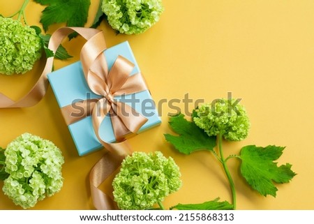 Image of a refreshing gift with a plain yellow background, a blue gift and a green viburnum Father's Day