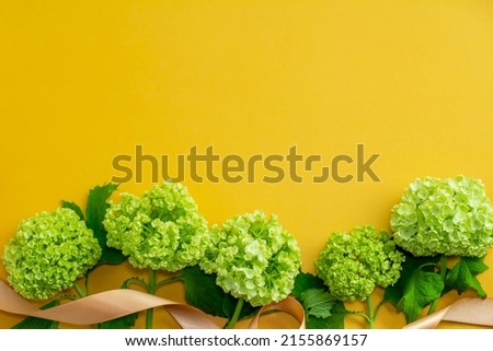 Image of a refreshing gift of Viburnum with a plain yellow background