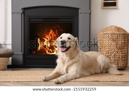 Adorable Golden Retriever dog on floor near electric fireplace indoors