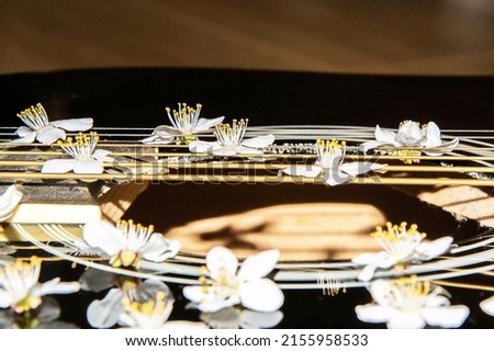 Flowers on strings. Guitar with flowers. Musical string instrument. Flowers close up