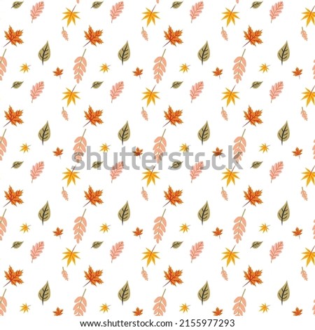 Colorful and cool autumn patterns with vectors and illustrations