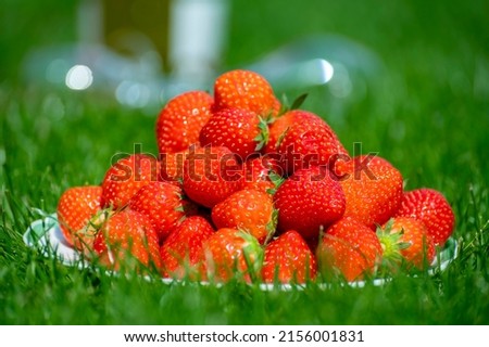 Fresh ripe red sweet organic strawberry on white board served outdoor on green grass lawn on sunny day