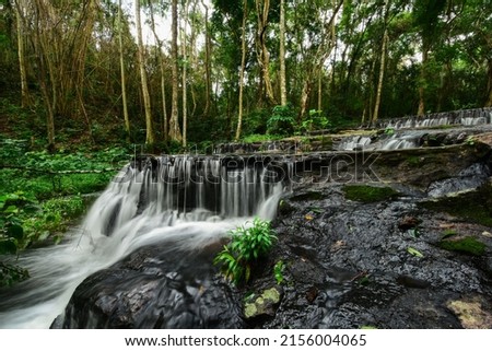 A beautiful waterfall flowing from the deep forest.