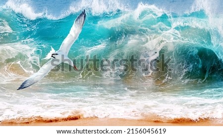 Storm on the ocean and a sea gull against the background of turquoise waves. Mexico. Baja California sur.