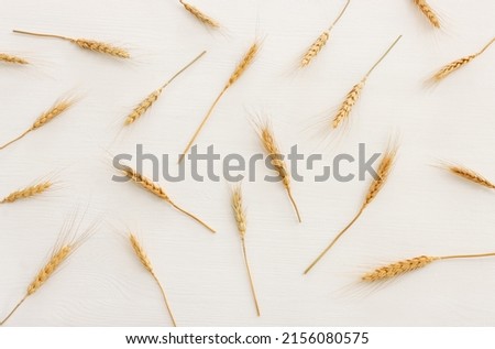 top view of wheat crops over white wooden background. Symbols of jewish holiday - Shavuot
