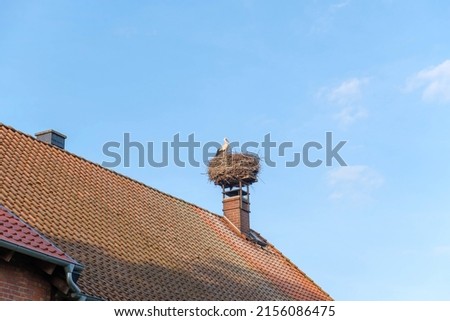 Stork in a stork's nest on a red house roof against a blue sky