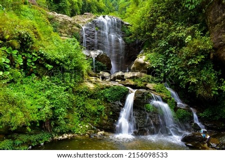 Rock garden Water falls at Darjeeling, India. Picturesque scenic beauty of Darjeeling can be observed here.   Royalty-Free Stock Photo #2156098533