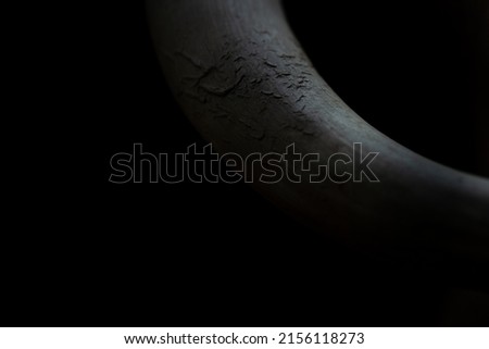 Buffalo horn showing battle scars or signs of a hard life. The picture of the bulls horn is taken under dark conditions reducing the colors to make it look more abstract and emphasize the texture.