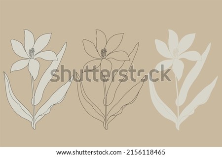 Line art tulips black and white vector graphics on a beige background