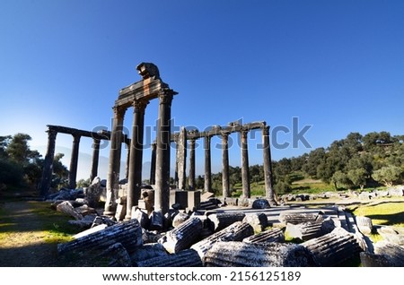 Euromos Ancient City in Milas Royalty-Free Stock Photo #2156125189