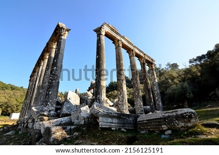 Euromos Ancient City in Milas Royalty-Free Stock Photo #2156125191