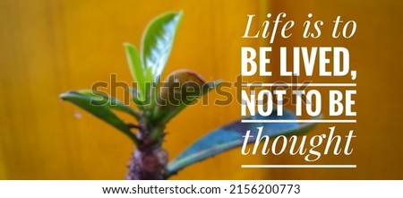 Motivation quote "Life is to be lived, not to be thought". Motivational and inspirational words.