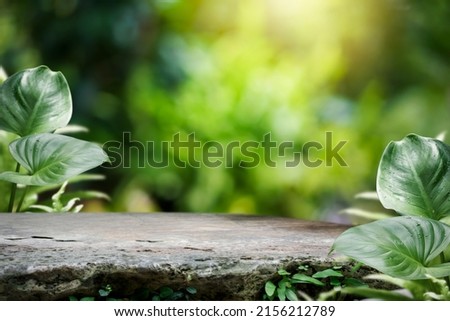 Natural stone and concrete podium in Natural green background for Empty show for packaging product presentation. Background for cosmetic products, the scene with green leaves. Mock up the pedestal. Royalty-Free Stock Photo #2156212789