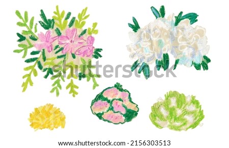 Set of garden illustrations drawn in wax crayons.Holiday,Botanical,Floral clip art hand drawn with oil pastels.Designs for wrapping paper,packaging,notebook covers,textiles,fabric,scrapbooking paper.